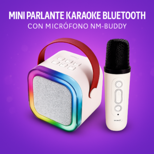 Mini Karaoke con Micrófono Netmak (NM-BUDDY)